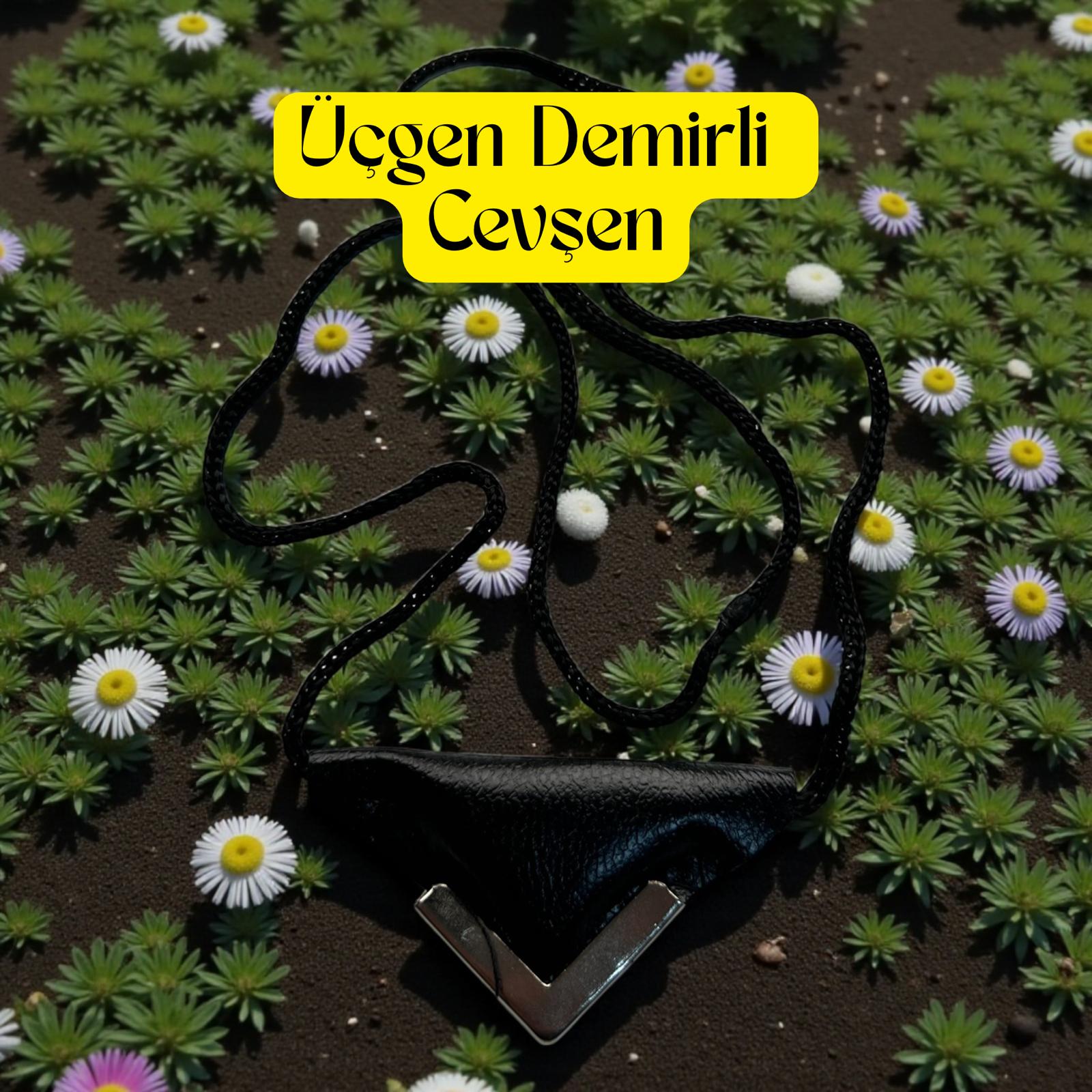 DRS ÜÇGEN DEMİRLİ CEVŞEN