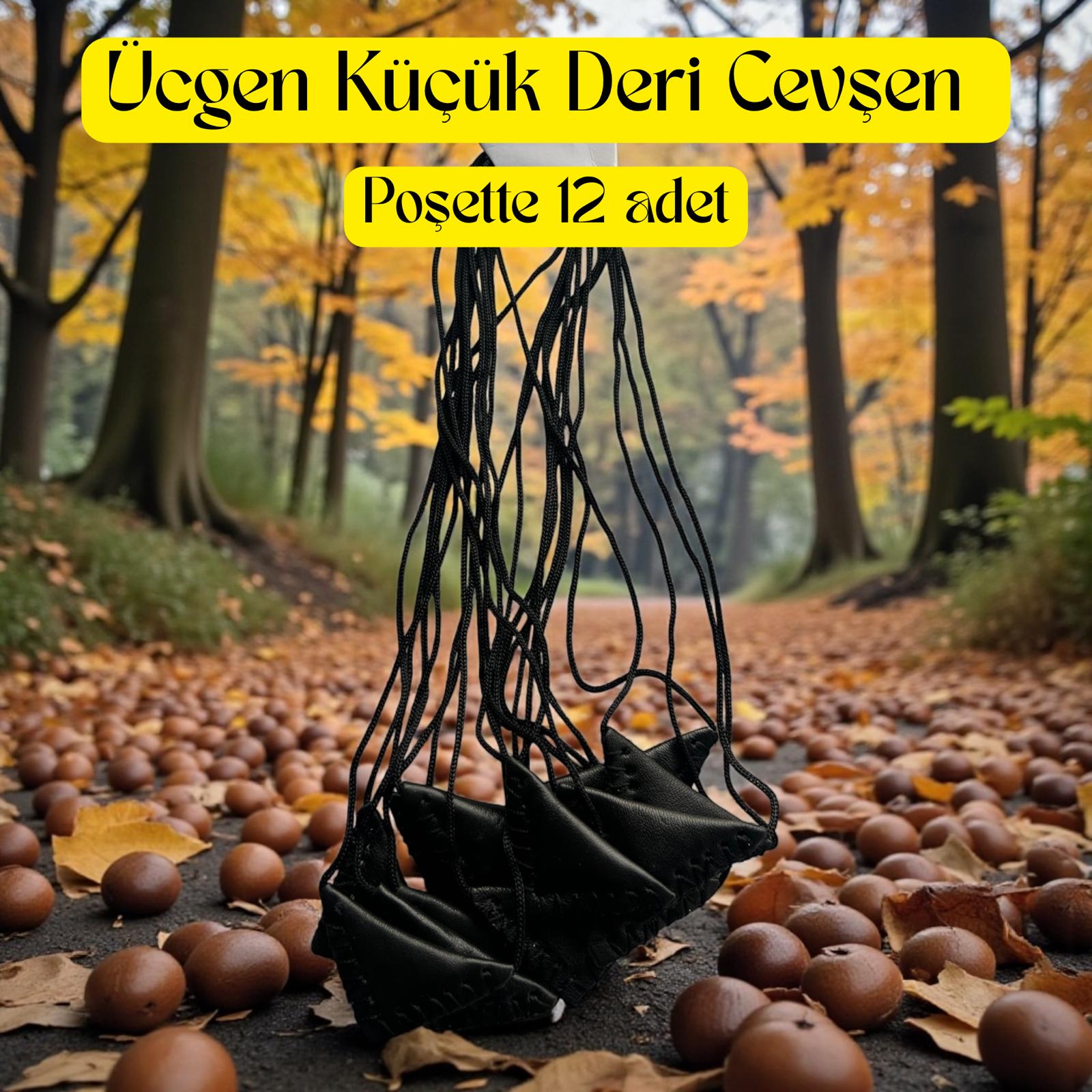 İR CEVŞEN DERİ ÜÇGEN KÜÇÜK POŞET İÇİ 12 ADET
