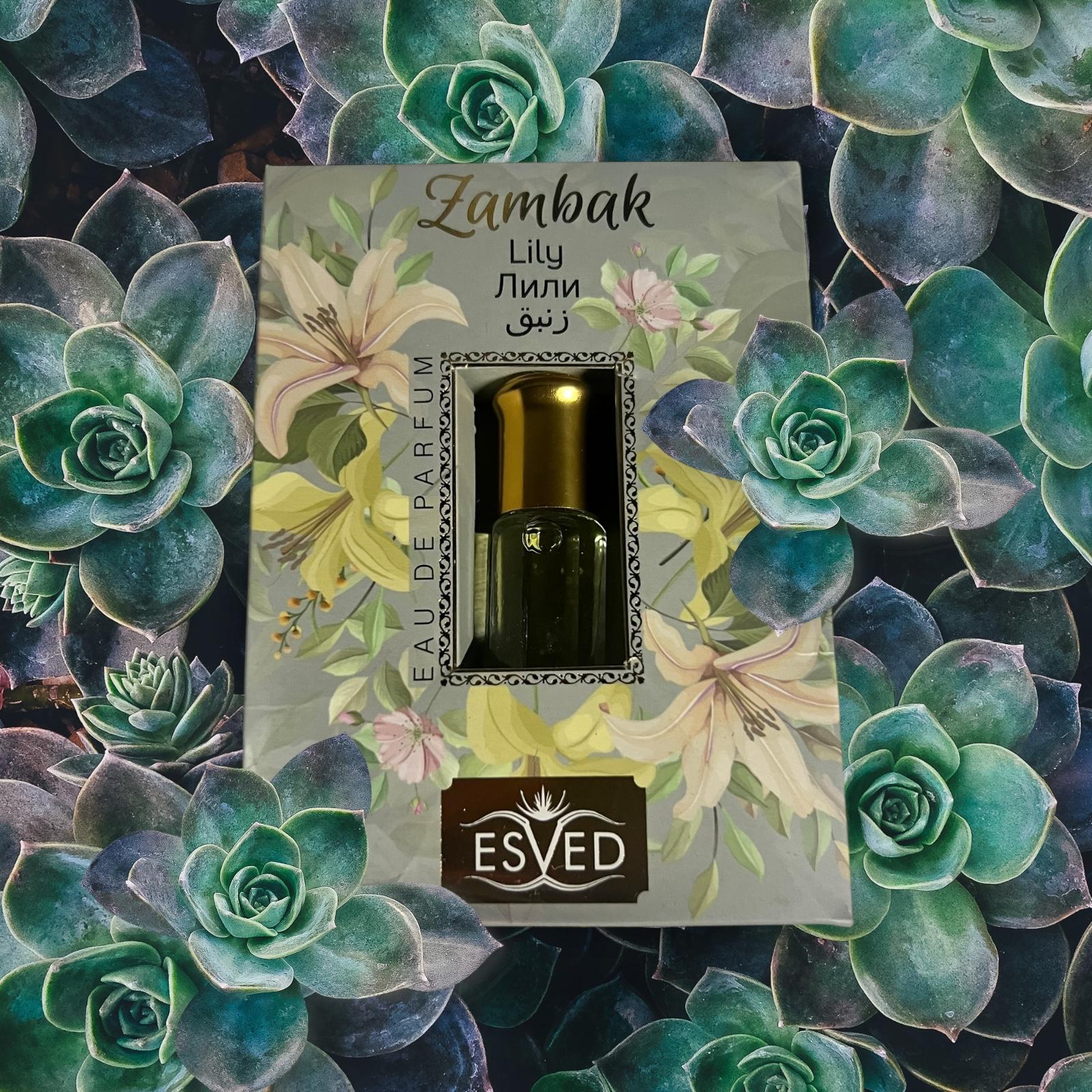 BBT ESVED ESANS ZAMBAK KUTULU 3 ML  (ADET SATIŞ)