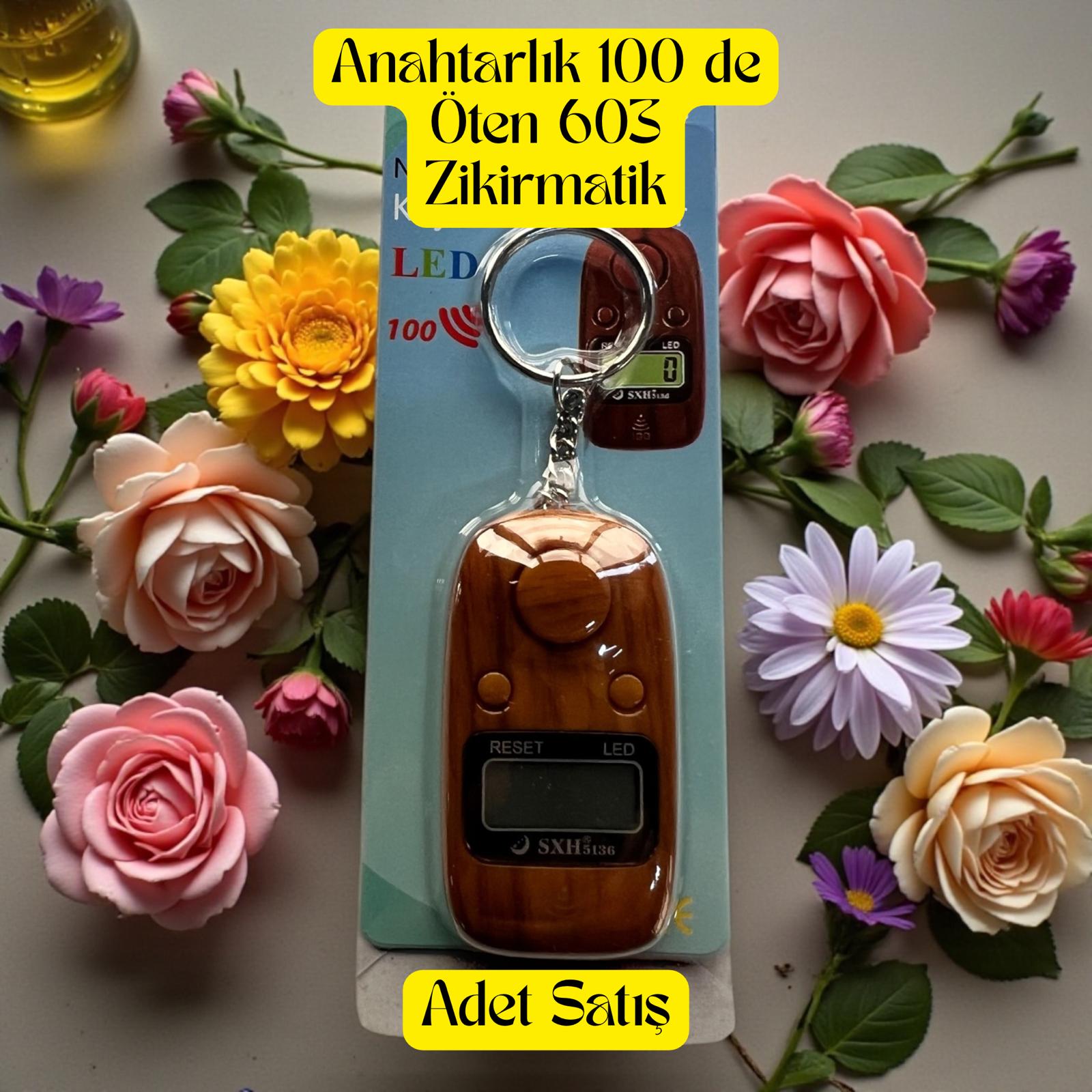 İR ZİKİRMATİK 603 ANAHTARLI 100 DE ÖTEN (ADET SATIŞ)