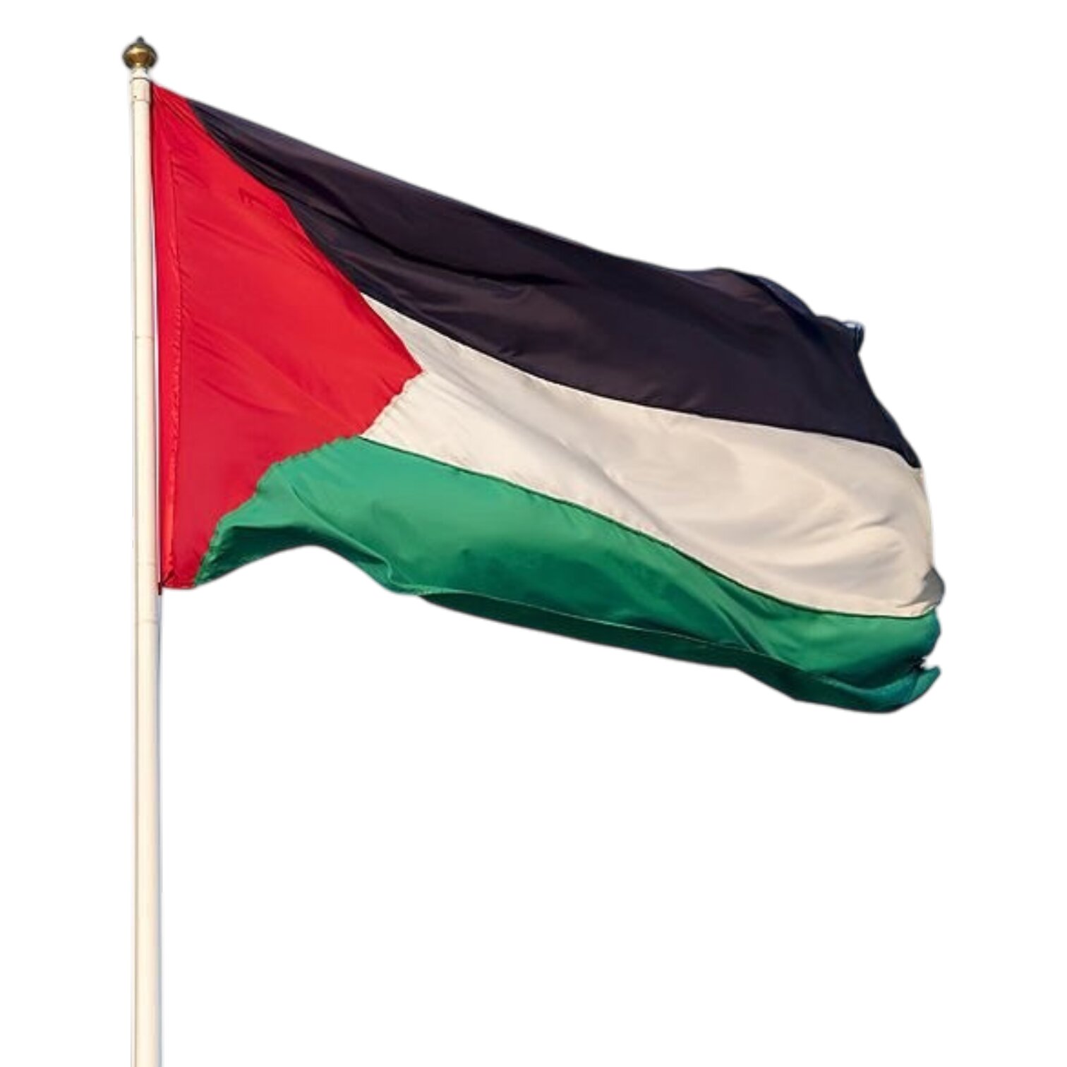 ORMİ 50X75 CM FİLİSTİN BAYRAĞI