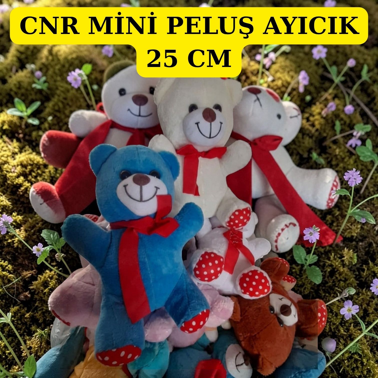 CNR MİNİ PELUŞ AYICIK 25 CM